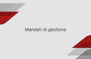 Mandati di gestione 3